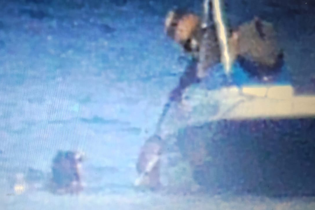 В Дальневосточном морском заповеднике спасено от браконьеров  более 1,5 тыс. особей трепанга: предотвращенный ущерб составил 2,4 млн рублей - фото 3