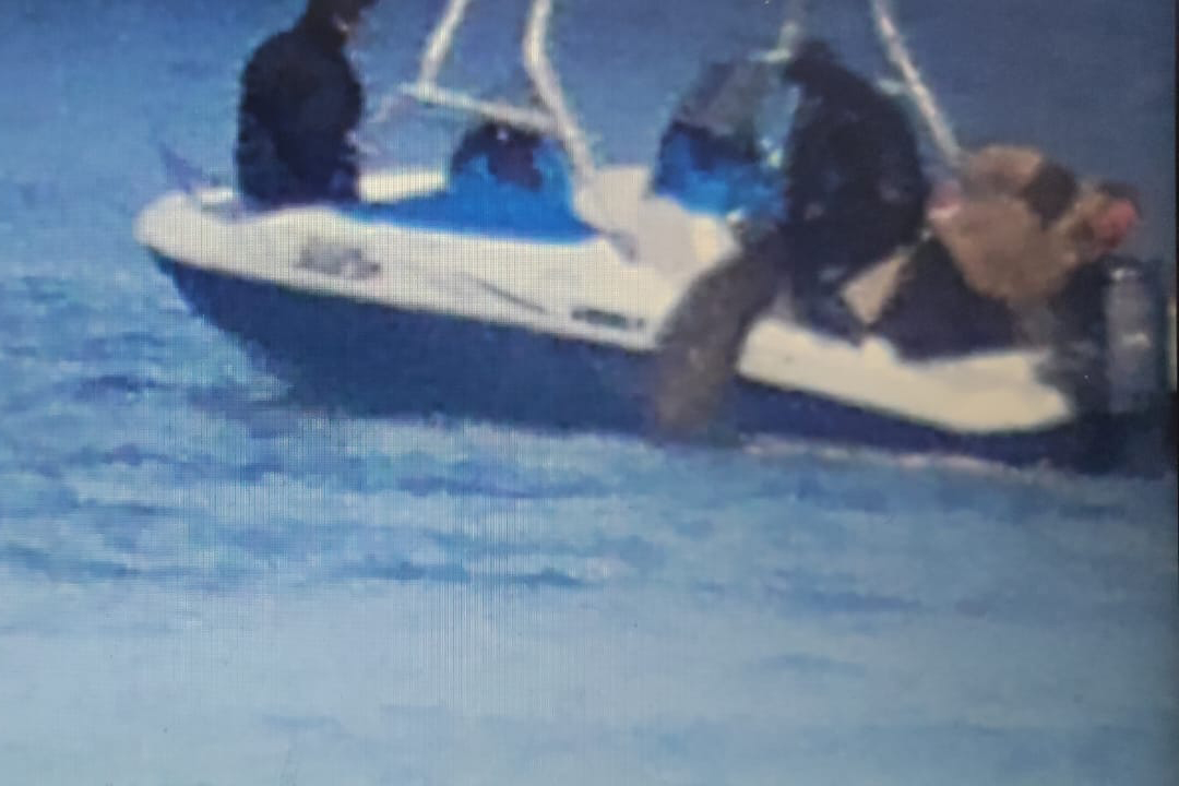 В Дальневосточном морском заповеднике спасено от браконьеров  более 1,5 тыс. особей трепанга: предотвращенный ущерб составил 2,4 млн рублей - фото 4