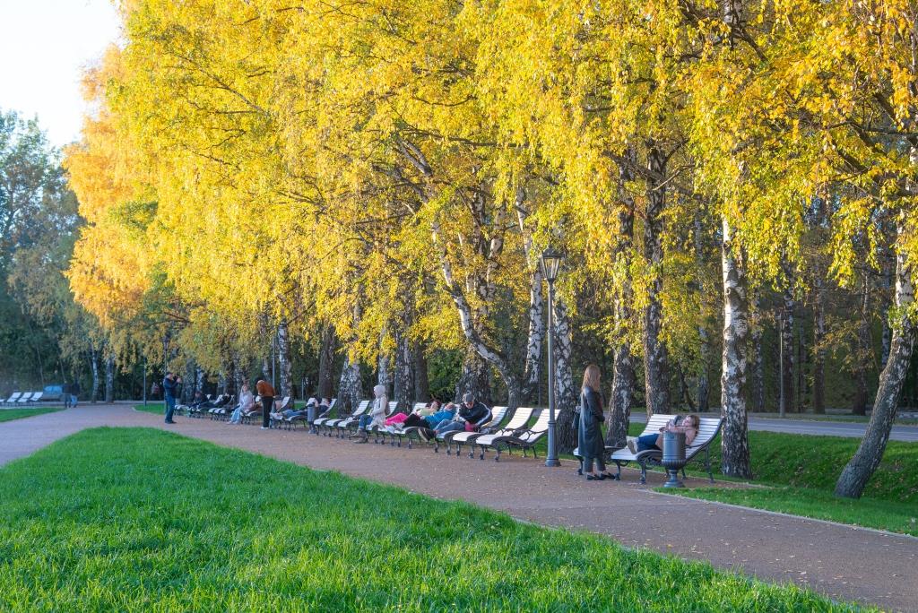 Обновленный Большой дворцовый пруд в Кускове встретит посетителей новыми зонами отдыха - фото 6
