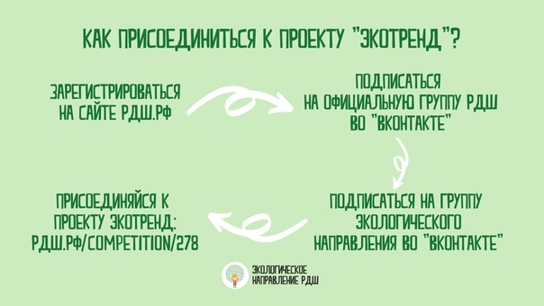 Проект экотренд рдш