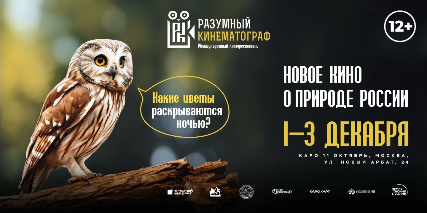 1-3 декабре в Москве пройдет Х Международный фестиваль «Разумный кинематограф»  - фото 1