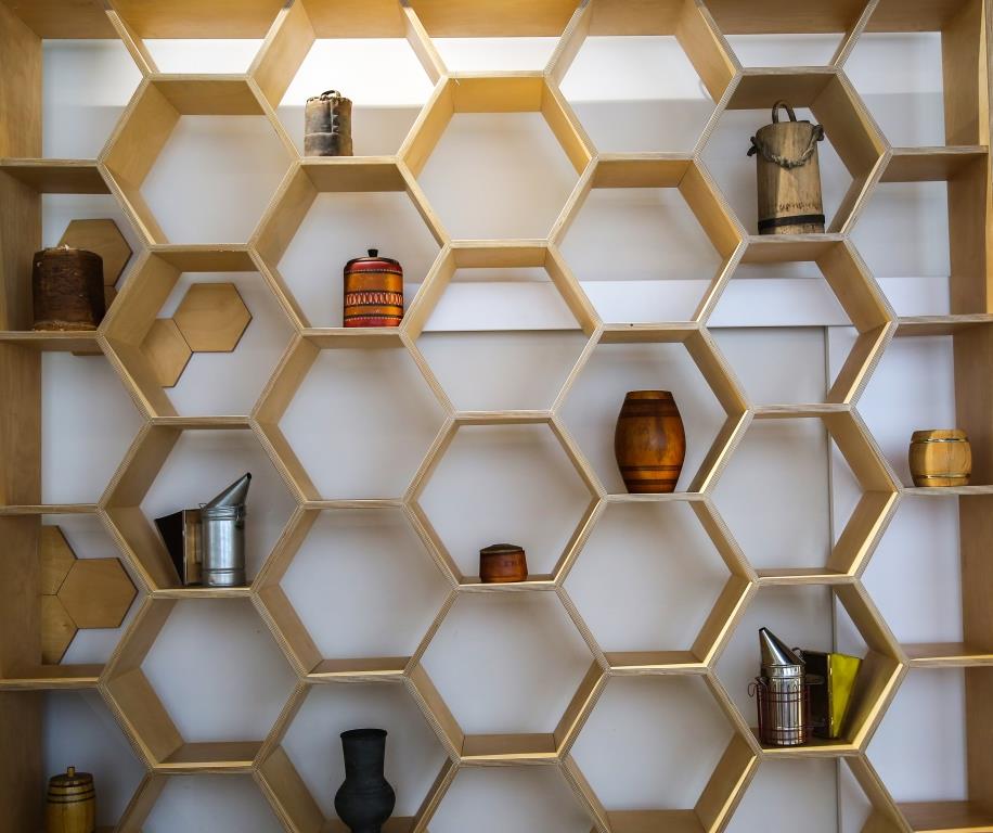 Что-то на пчелином: Мосприрода вновь открывает «Клуб пчеловодов» - фото 3