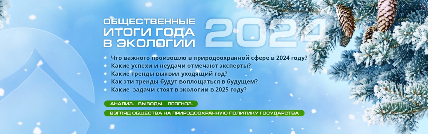 33Итоги года 2024