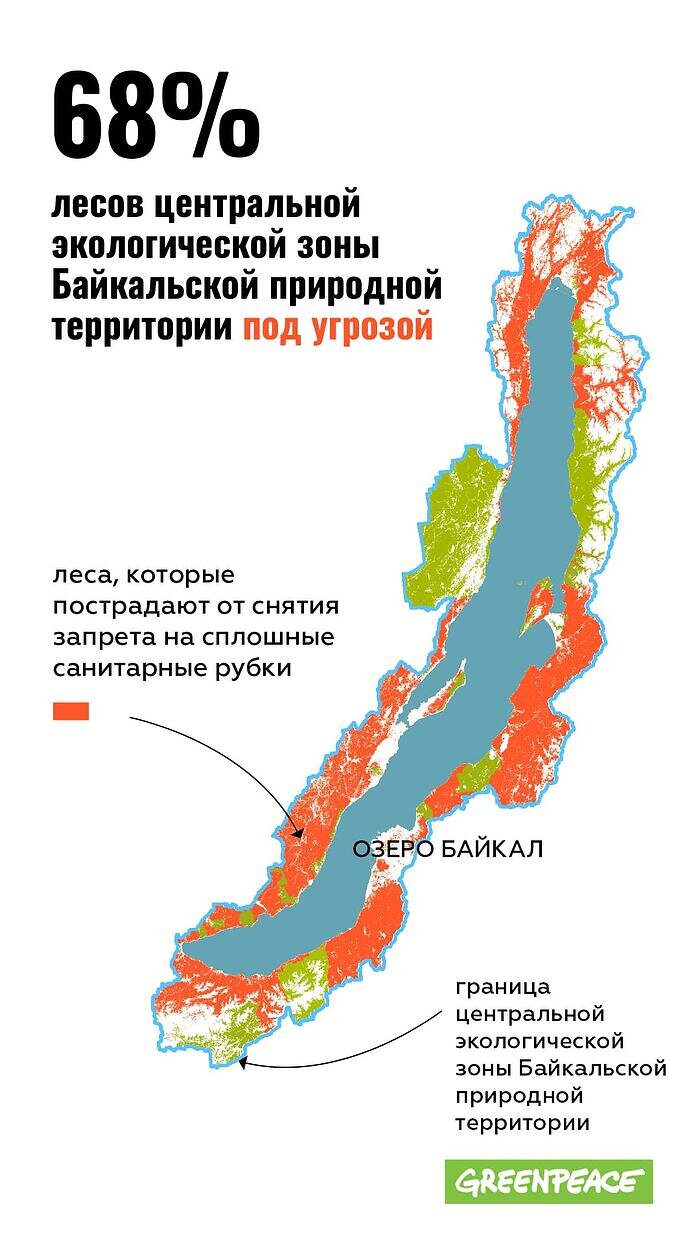68% лесов вокруг Байкала может быть вырублено - фото 1