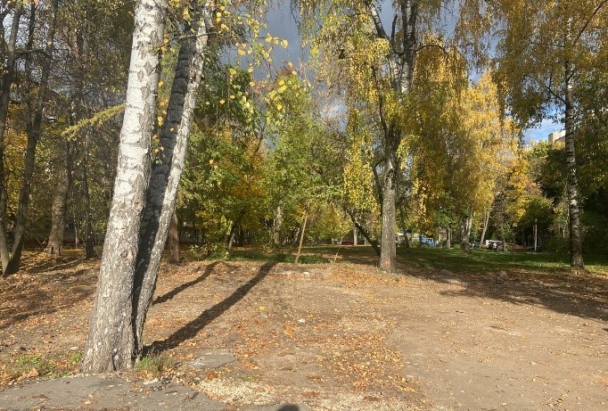 В Богородском районе зеленую зону рядом с жилыми домами освободили от самостроя - фото 3