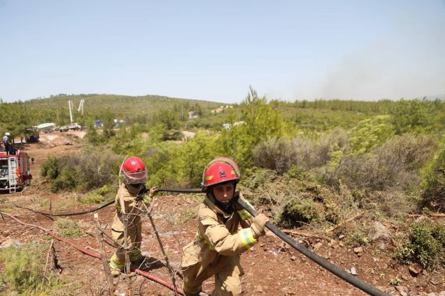 Лесные пожары в Турции потребовали международного вмешательства - фото 7