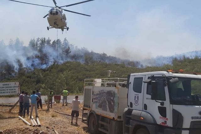 Лесные пожары в Турции потребовали международного вмешательства - фото 8