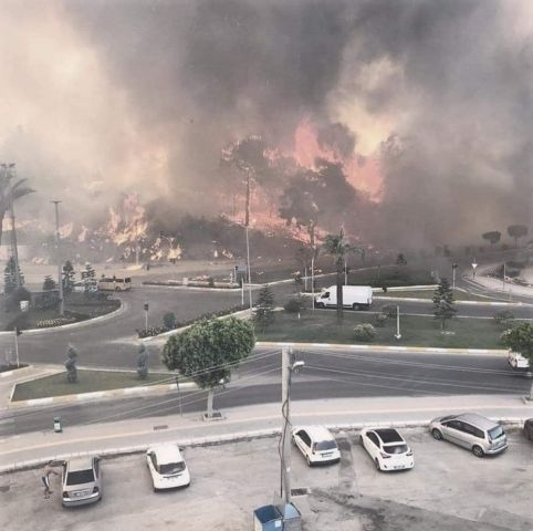 Лесные пожары в Турции потребовали международного вмешательства - фото 9