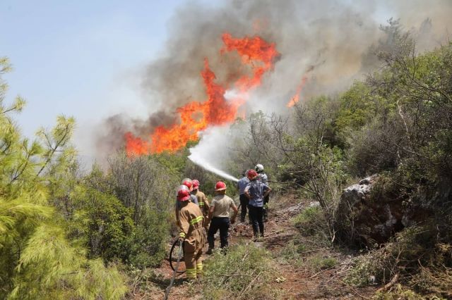 Лесные пожары в Турции потребовали международного вмешательства - фото 10