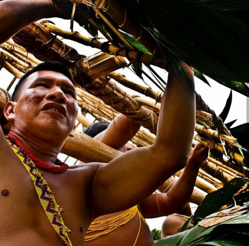 Леонардо Ди Каприо посвятил свой пост в инстаграмм коренным общинам венесуэльской Амазонки - фото 8