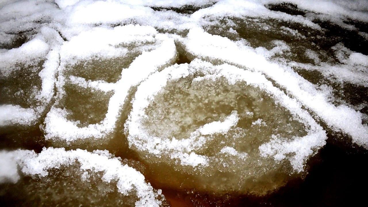 В рождественскую ночь Ладогу покрыли ледяные блюдца - фото 3