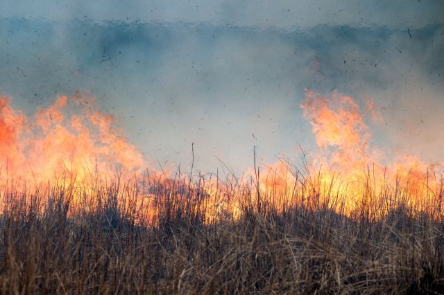Сотрудники Болоньского заповедника учились руководить группами по тушению лесных пожаров - фото 3