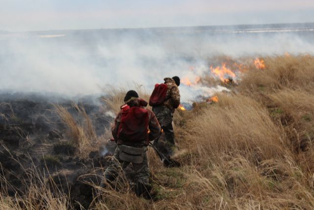 Сотрудники Болоньского заповедника учились руководить группами по тушению лесных пожаров - фото 4