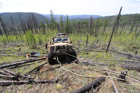 Виталий Рябцев: лес от пожаров "спасут нелепые проекты псевдоучёных"...  - фото 2