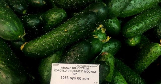 Жителям Камчатки пообещали снижение цен на овощи - фото 8