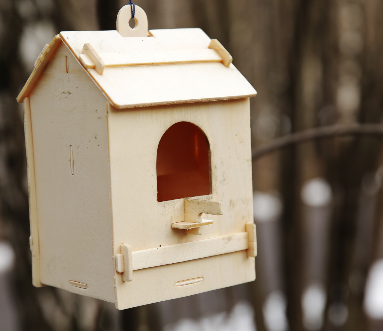 Как правильно помочь птицам решить «жилищный вопрос»?  - фото 2