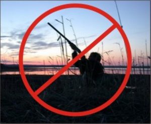 Министр природы Дмитрий Кобылкин предложил запретить весеннюю охоту из-за коронавируса - фото 1