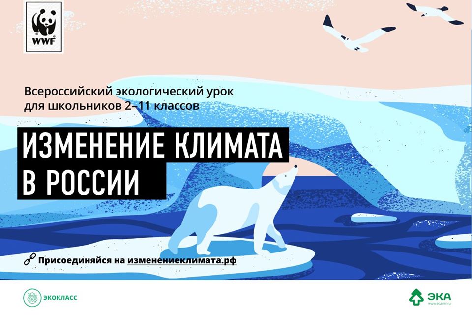 В российских школах проведут урок “Изменение климата в России”  - фото 1