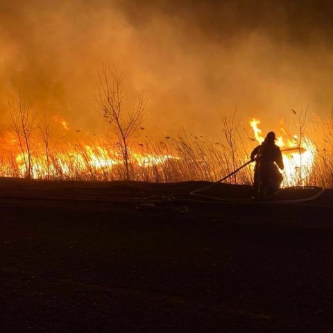 В Астраханской области горят заповедные территории. Губернаторский час на "ЭкоГраде" - фото 1