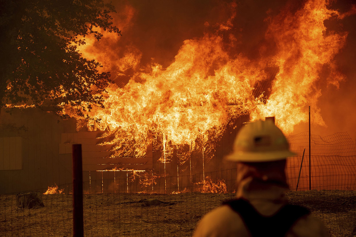 Калифорния задыхается в плену бушующих лесных пожаров и просит о помощи - фото 3