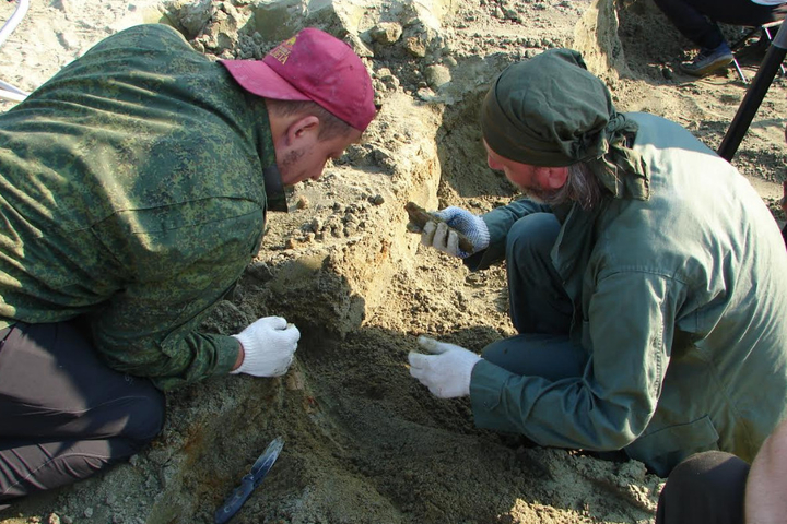 Кости второй по размеру морской черепахи за всю историю Земли, жившей 80 млн лет назад, нашли в Саратовской области (фото) - фото 3