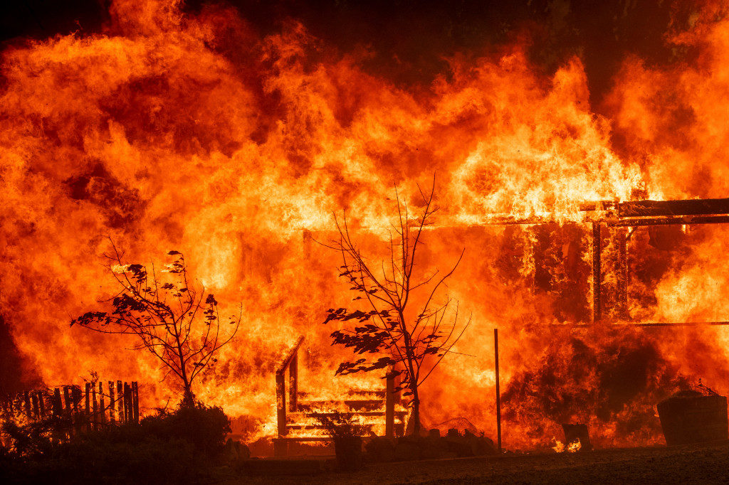Калифорния задыхается в плену бушующих лесных пожаров и просит о помощи - фото 6