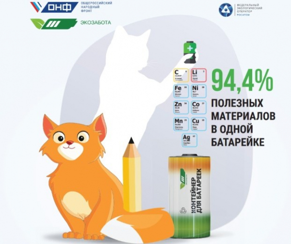 Активисты ОНФ передадут экобоксы для сбора батареек в школы Подмосковья  - фото 5