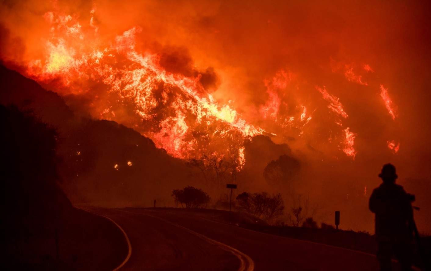 Калифорния задыхается в плену бушующих лесных пожаров и просит о помощи - фото 9