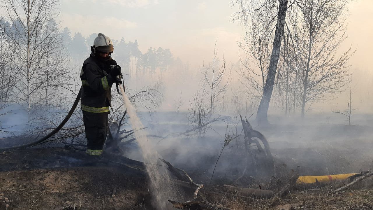 Команда губернатора Московской области предупредила об опасности палов сухой травы - фото 2