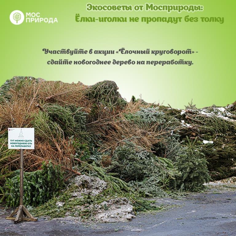 Экосоветы от Мосприроды: 5 важных дел, которые помогут сократить экослед в 2021 году  - фото 1