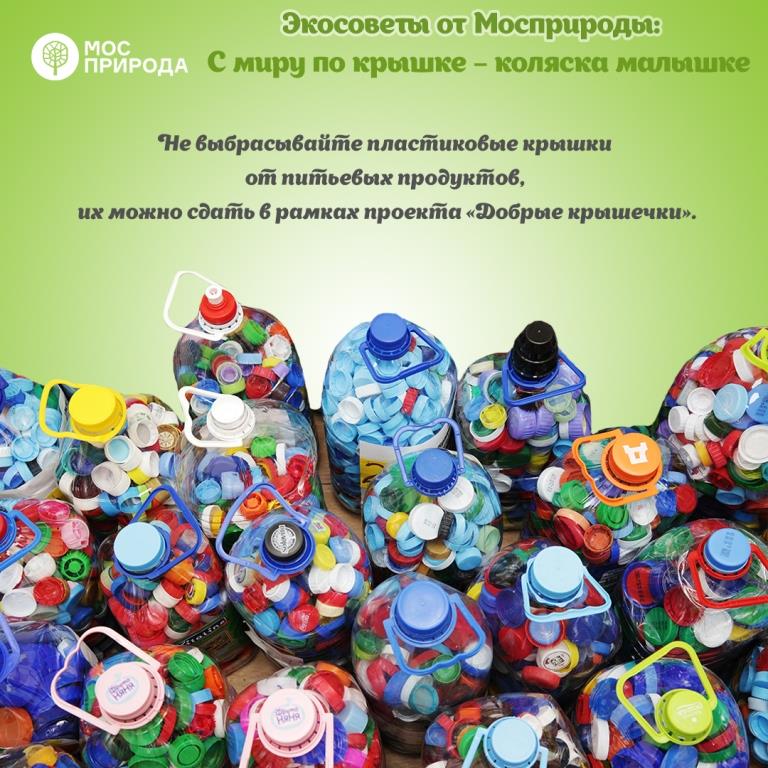 Экосоветы от Мосприроды: 5 важных дел, которые помогут сократить экослед в 2021 году  - фото 3