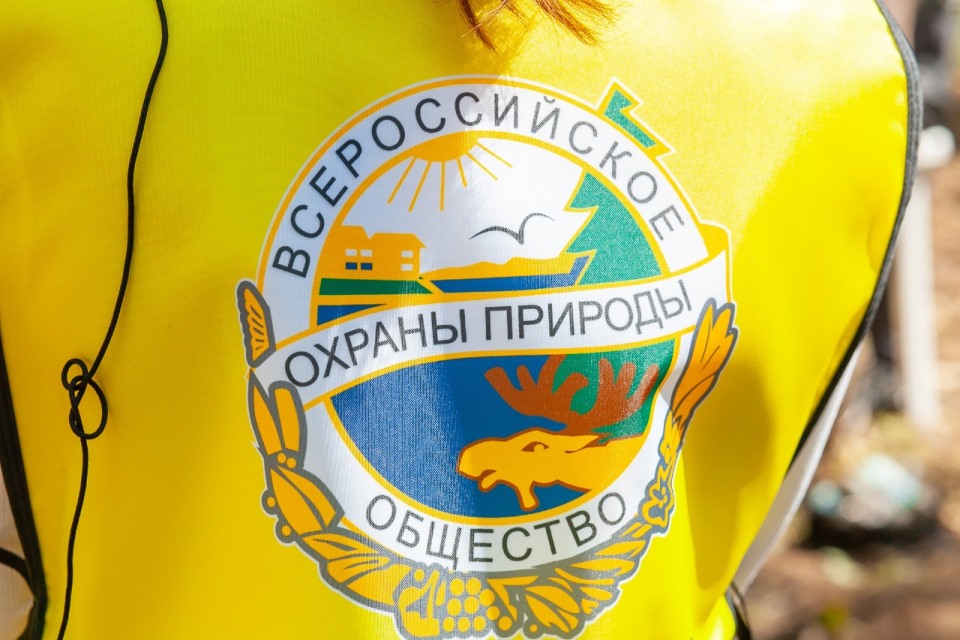 На пострадавшем от урагана участке «Лосиного острова» высадили «Сад памяти» - фото 4