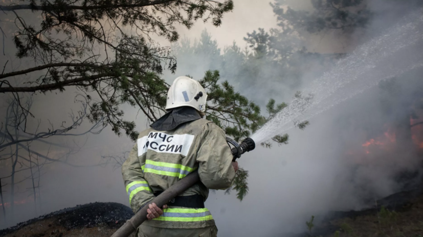 Позитивную динамику в борьбе с лесными пожарами в России отметила Виктория Абрамченко - фото 1