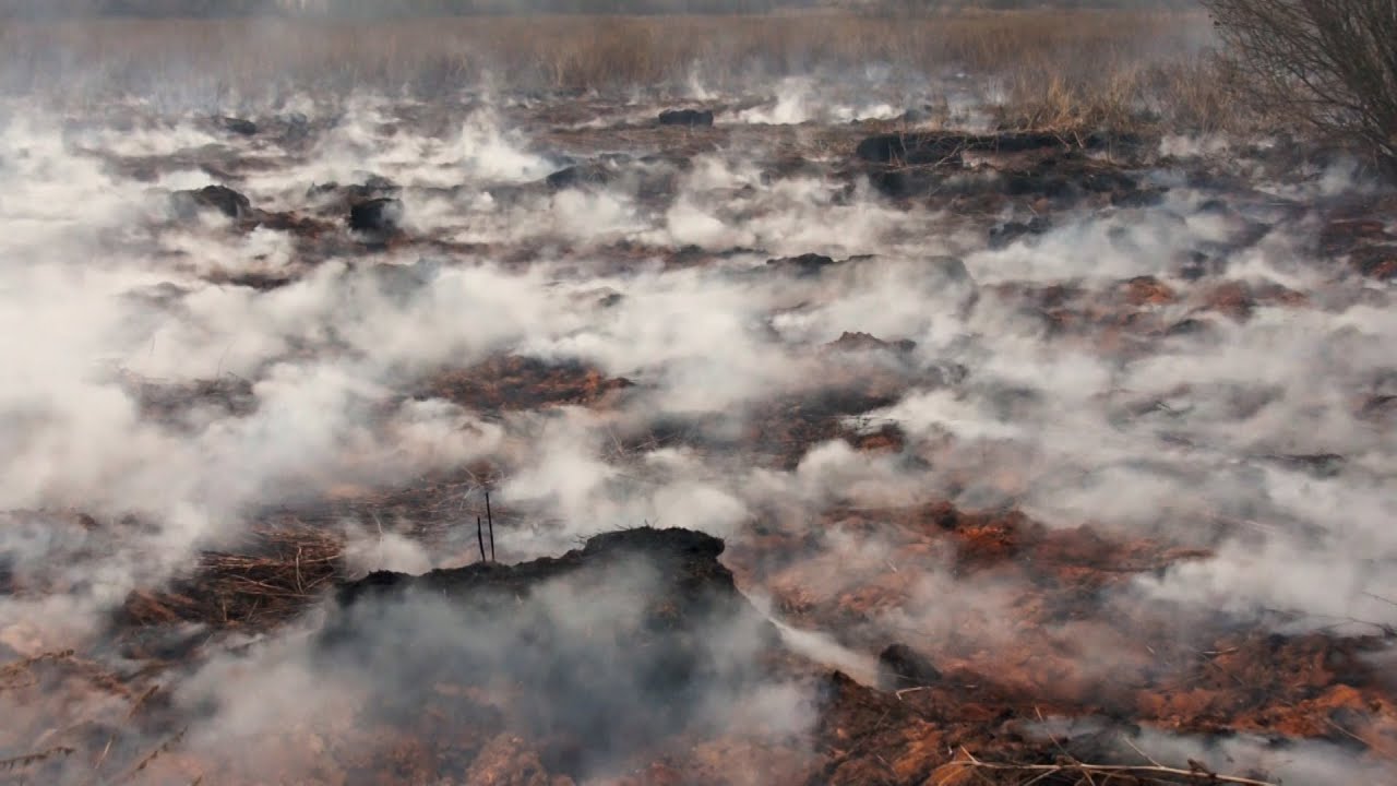 Зимующие пожары жгут северные леса - фото 3