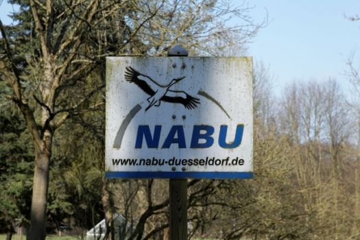 Экологи NABU считают конфликт вокруг "Северного потока — 2" исчерпанным - фото 1