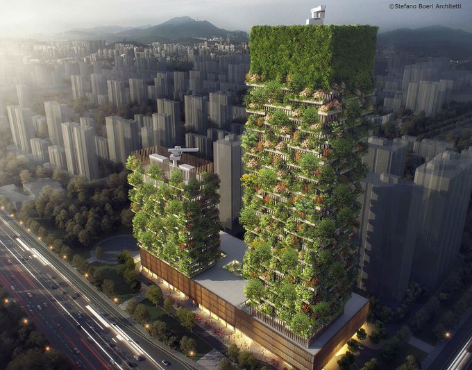 Что стало с "зелеными небоскребами" Китая? - фото 1