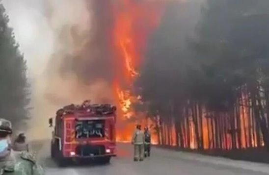 Из-за лесных пожаров парализовано движение по Тюменскому тракту - фото 1
