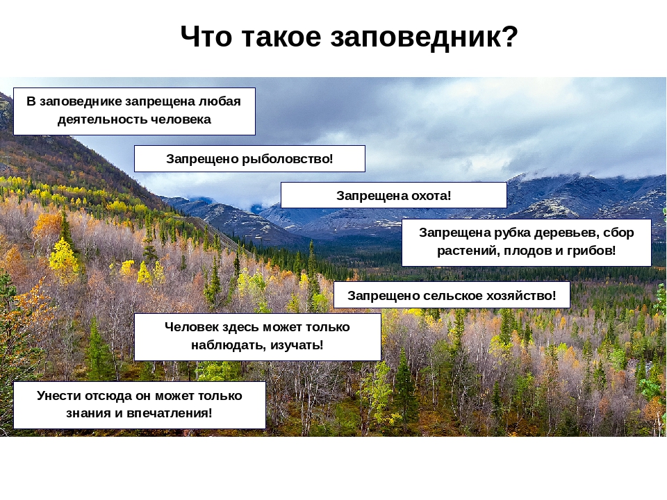 Освободить от ряда запретов и сделать заповедниками хотят рыбоохранные зоны - фото 2