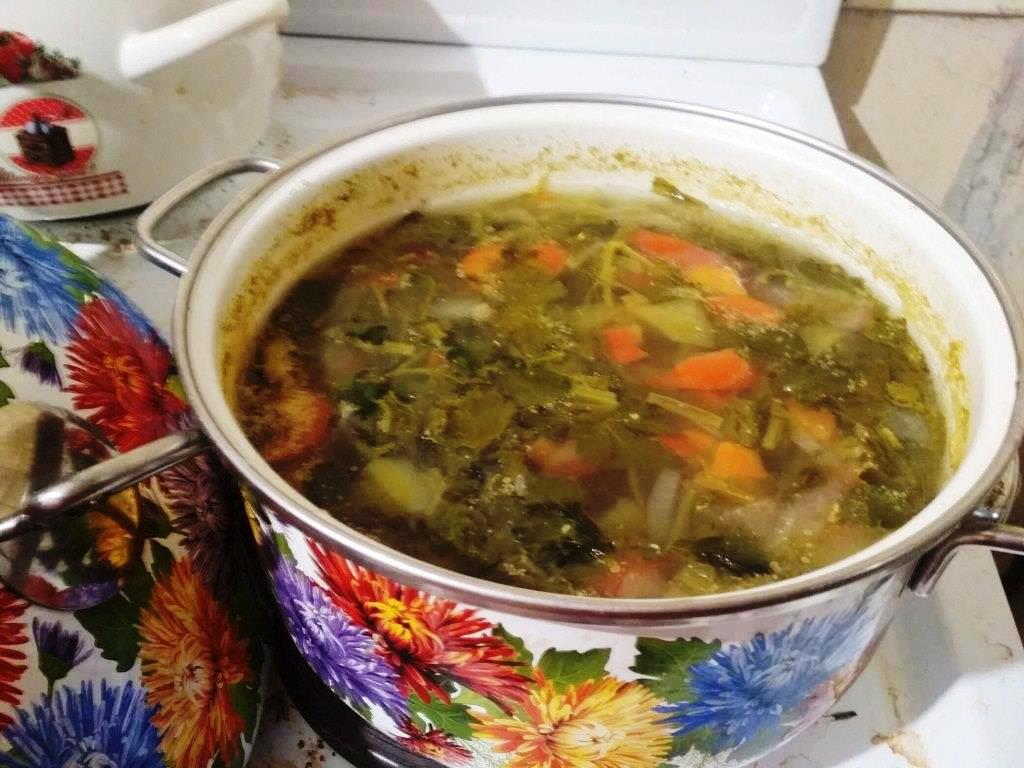 Эко-кулинария: суп из щавеля «Зеленый»  - фото 1