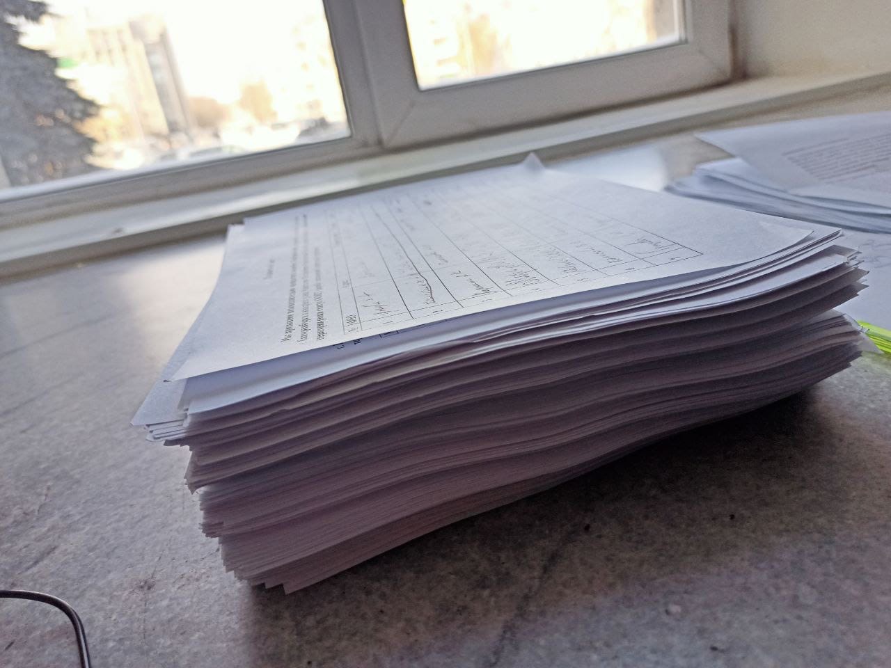 Эко активисты передали мэру Екатеринбурга подписи горожан в защиту Березовой рощи - фото 2