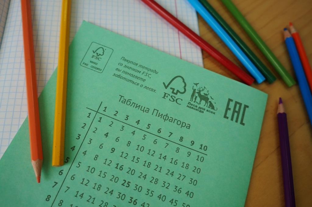 Сохраняем леса для птиц  - фото 3