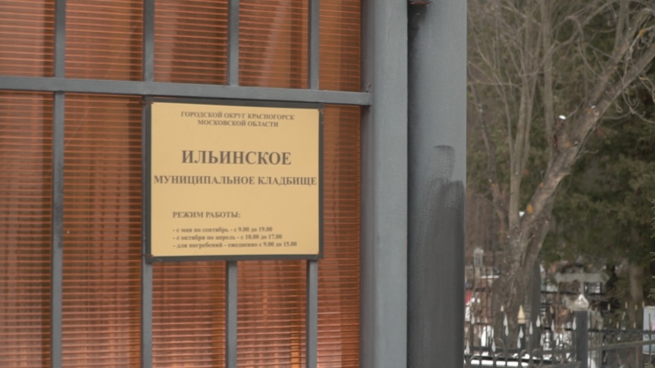 Экорейды по проверке предприятий мусорной отрасли и закрытых полигонов проведут экологические организации Подмосковья - фото 2