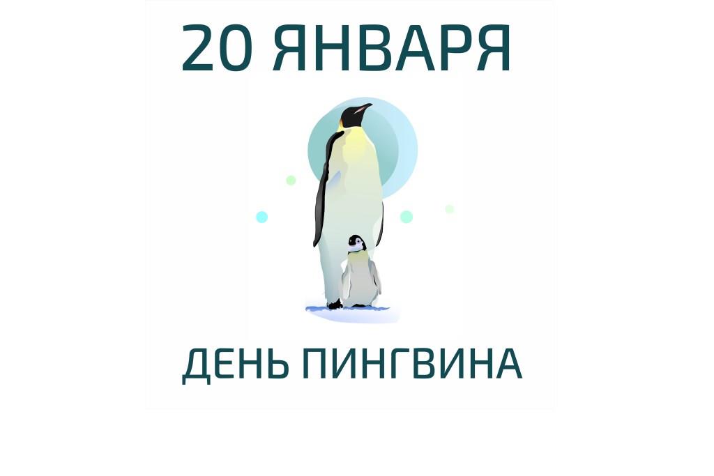 Милые, забавные, но исчезающие: как и зачем в мире отмечают День пингвина в 2021 году - фото 1