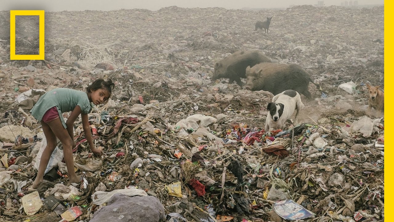 Россия без мусора: ВООП и National Geographic Россия занялись экопросвещением страны - фото 2