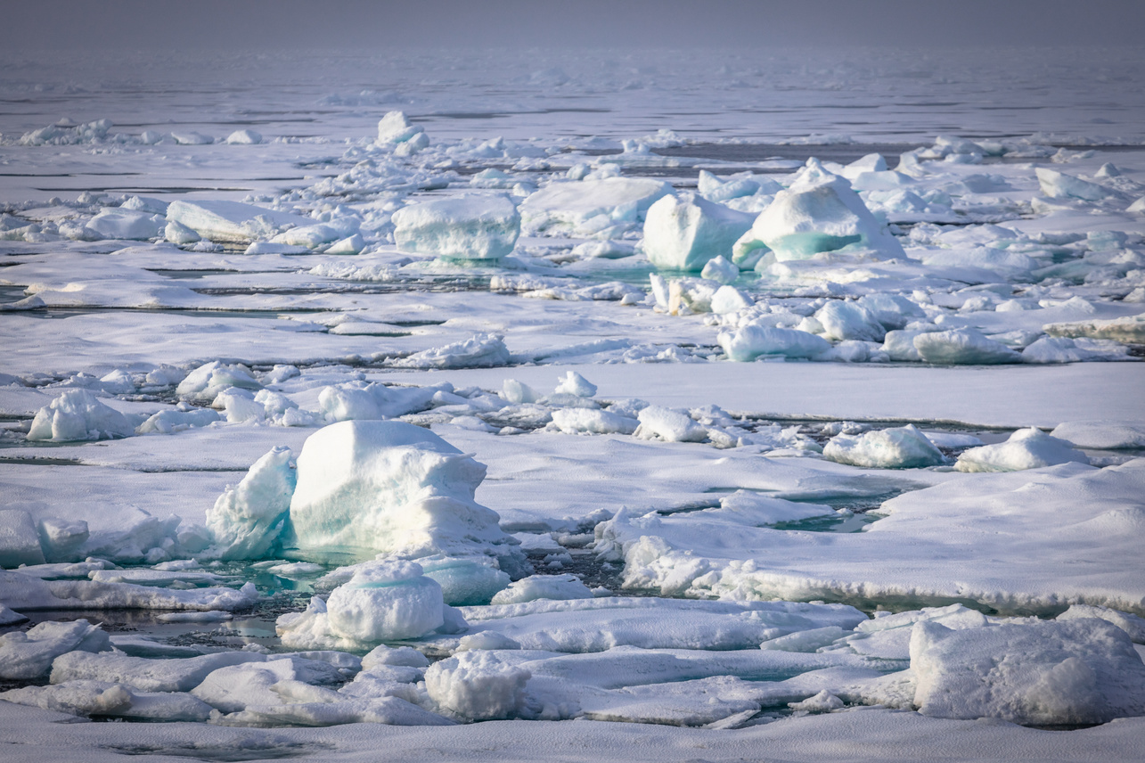Россия развивает проекты научно-исследовательских станций в Арктике - фото 1