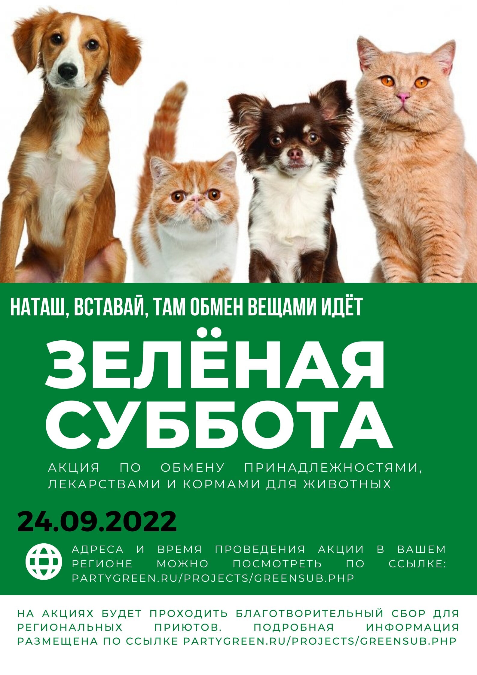 Благотворительный своп для животных «Зелёная суббота» пройдёт в Москве 24 сентября - фото 1