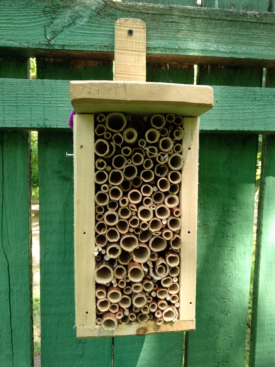 Домики для насекомых: Мосприрода обеспечит жильем самых маленьких обитателей природных территорий  - фото 5