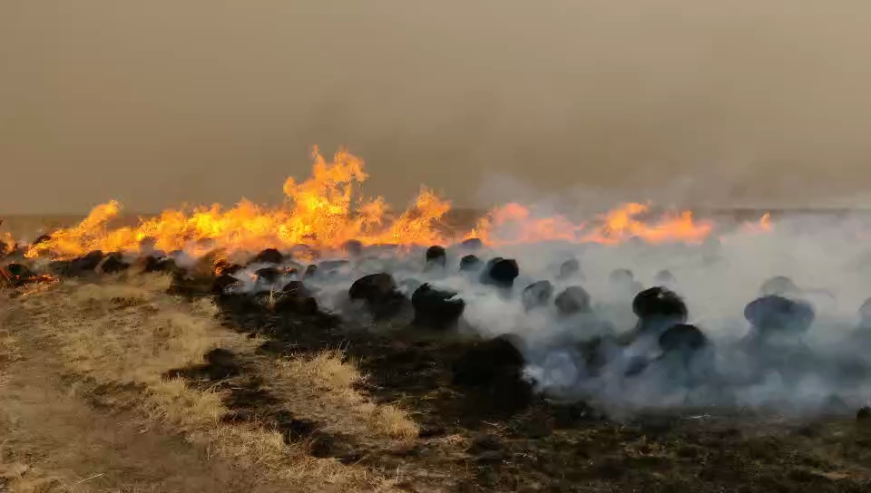 Степной пожар из Монголии перекинулся на Китай - фото 1