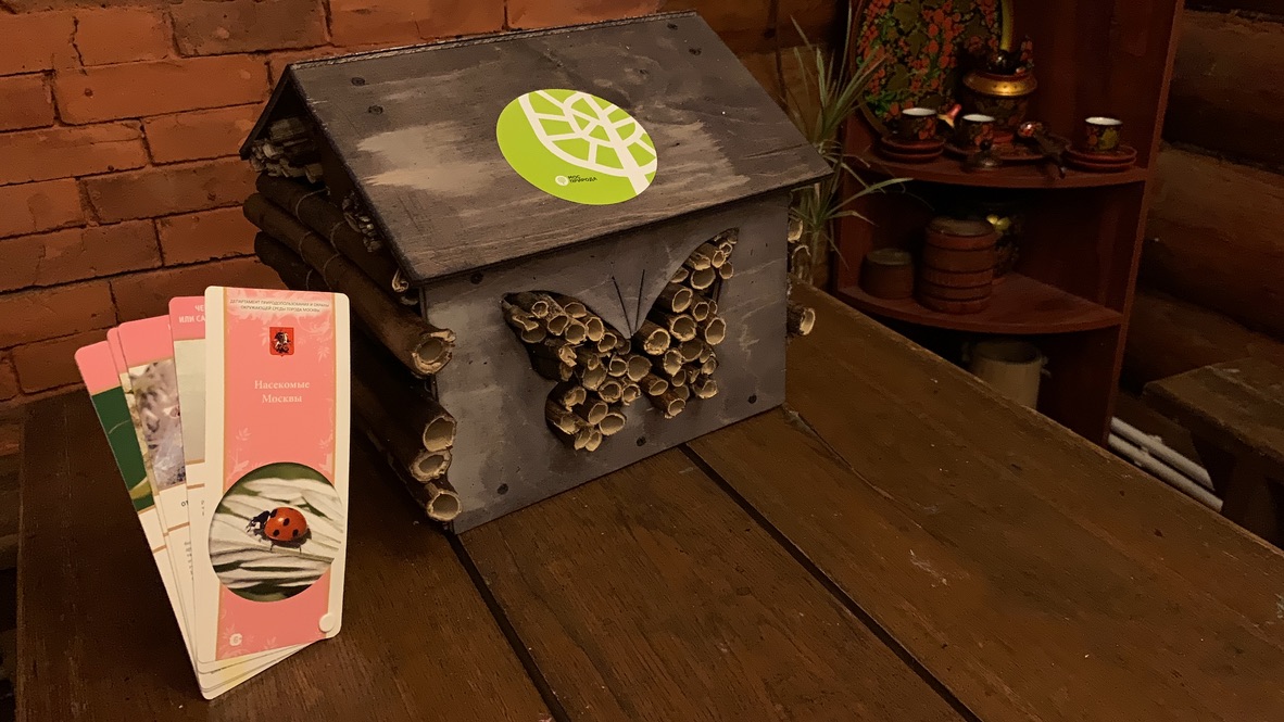 Домики для насекомых: Мосприрода обеспечит жильем самых маленьких обитателей природных территорий  - фото 4