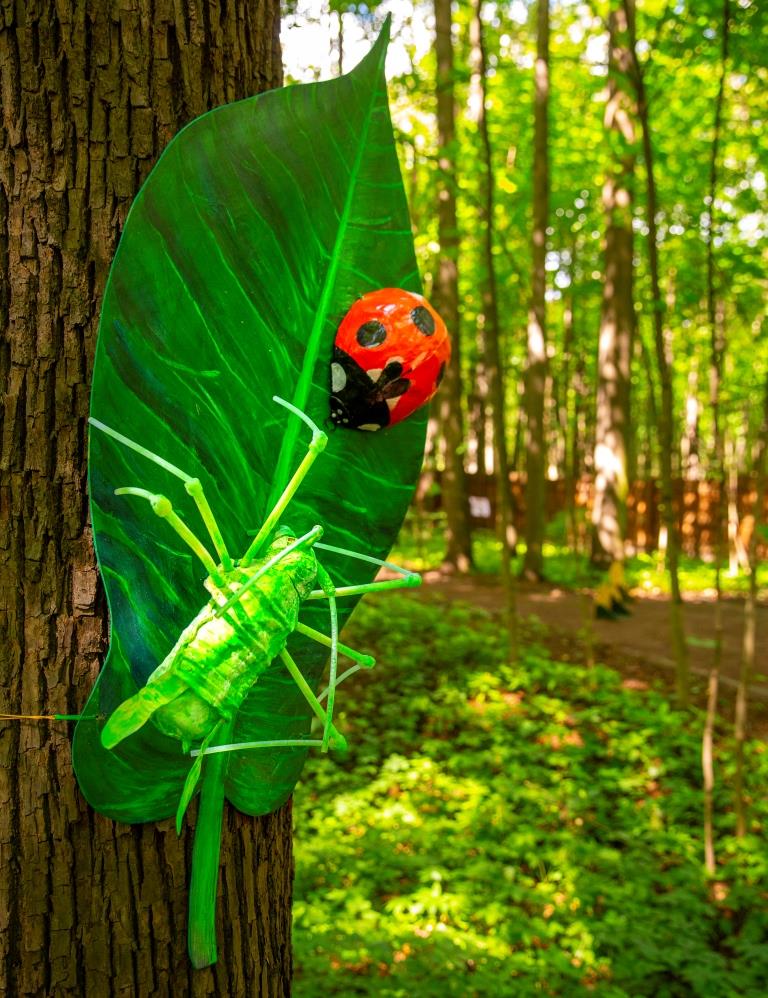 Приключения в мире насекомых: Мосприрода разработала необычную интеллектуально-развлекательную программу   - фото 5